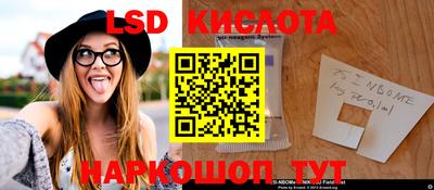 ПСИЛОЦИБИНОВЫЕ ГРИБЫ Гусев