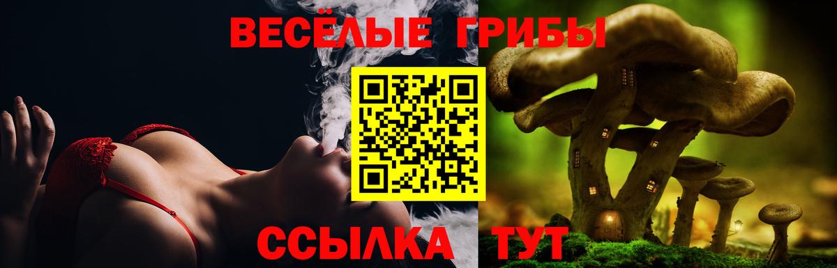 Псилоцибиновые грибы MAGIC MUSHROOMS Красный Сулин